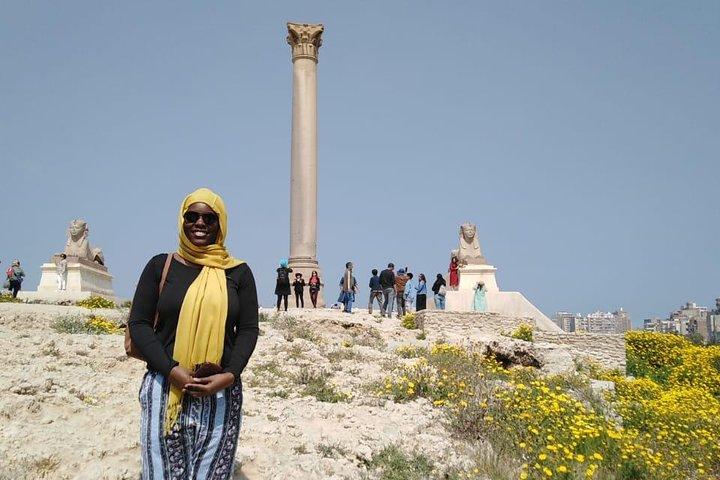 Full private day trip to Alexandria