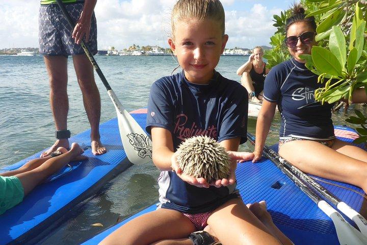 Guided paddleboarding (SUP) mangrove ECO tour for beginners