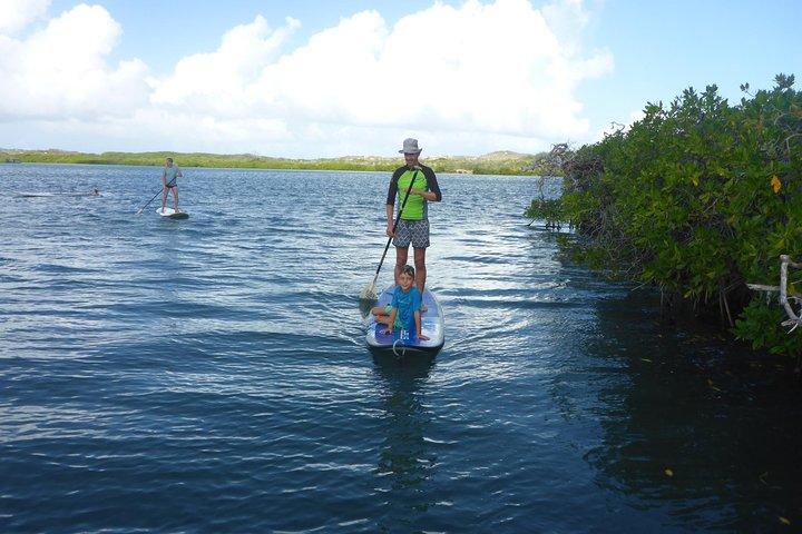 Guided paddleboarding (SUP) mangrove ECO tour for beginners