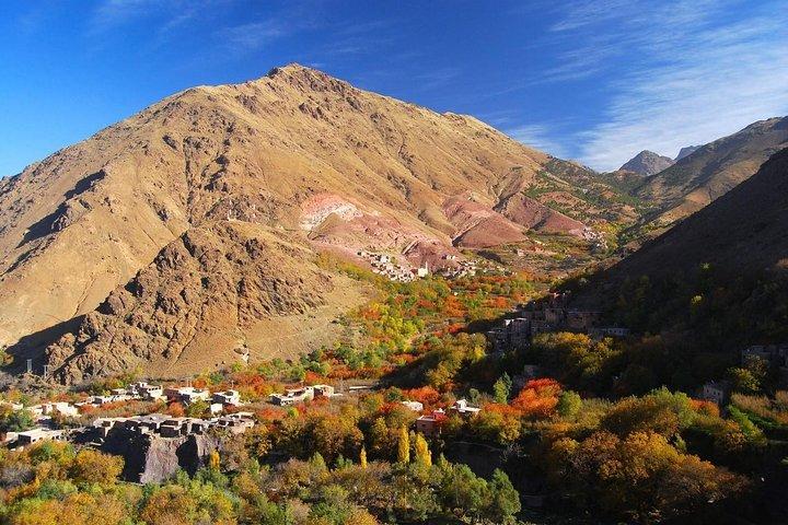Day Trip Atlas Morocco Berber Experience & Cooking Class From Marrakech