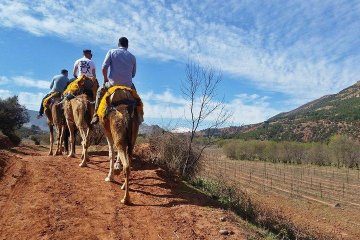 Atlas Mountains day Trips and berbers villages