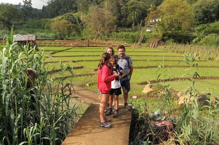 Trek to Little Adam's Peak and Nine Arches Bridge In Ella