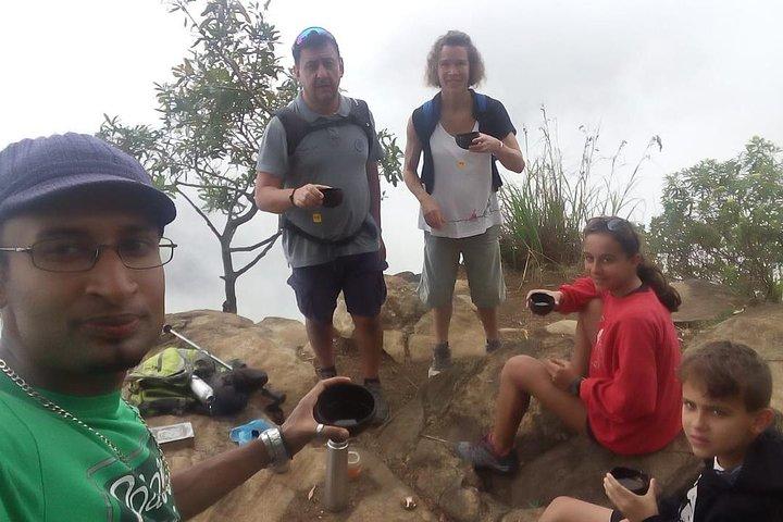 Trek to Little Adam's Peak and Nine Arches Bridge In Ella