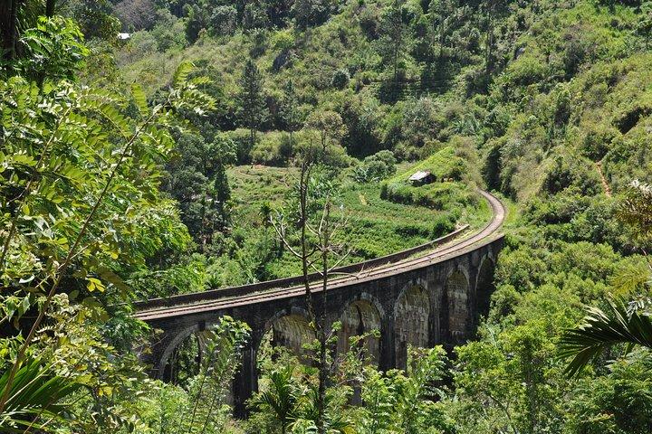 Trek to Little Adam's Peak and Nine Arches Bridge In Ella