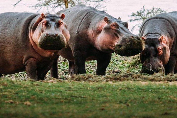 7 Days Kenya Tour Budget Safari