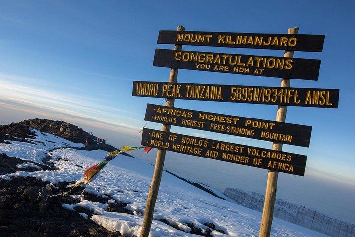 Kilimanjaro Climb - 7 Days Machame Route