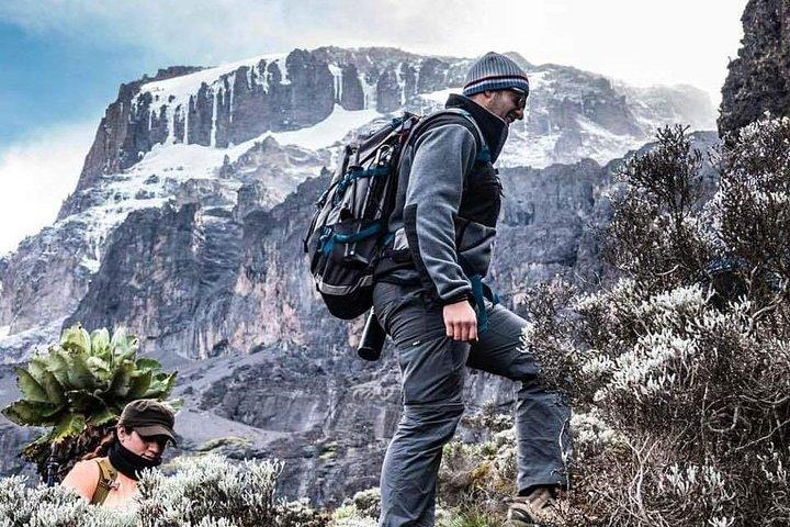 Kilimanjaro Climb - 7 Days Machame Route