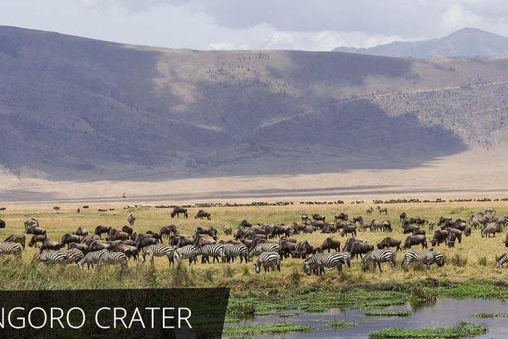 2 Days Private lodge safari to Serengeti National Park