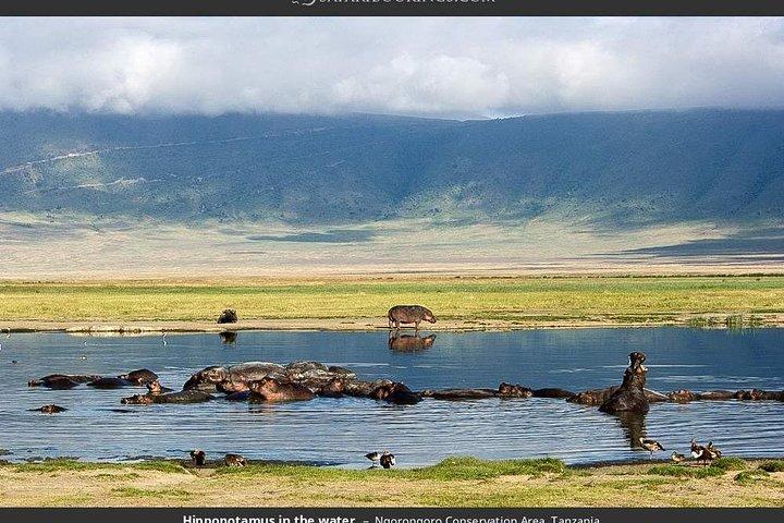 2 Days Private lodge safari to Serengeti National Park