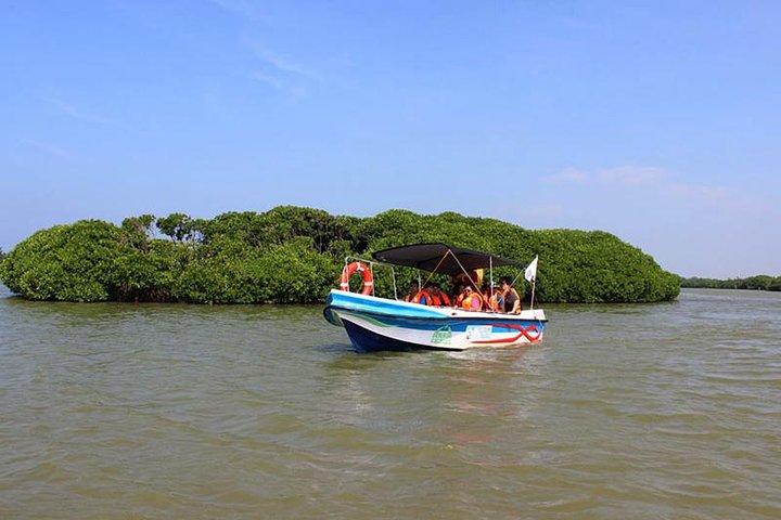 Fishing Village & Mangrove Tour Experince at Negombo (Starting from Colombo)
