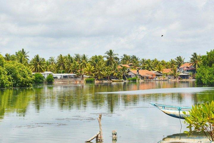 Fishing Village & Mangrove Tour Experince at Negombo (Starting from Colombo)