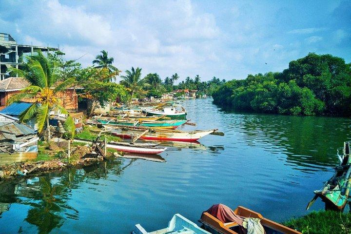 Fishing Village & Mangrove Tour Experince at Negombo (Starting from Colombo)