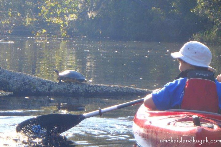 Self Guided Family Friendly Kayak Rental Experience Old Florida