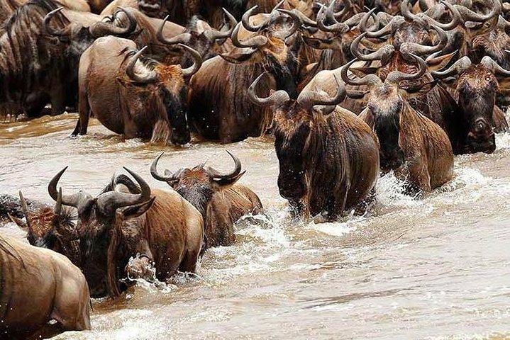 5 days Private budget camping Safari