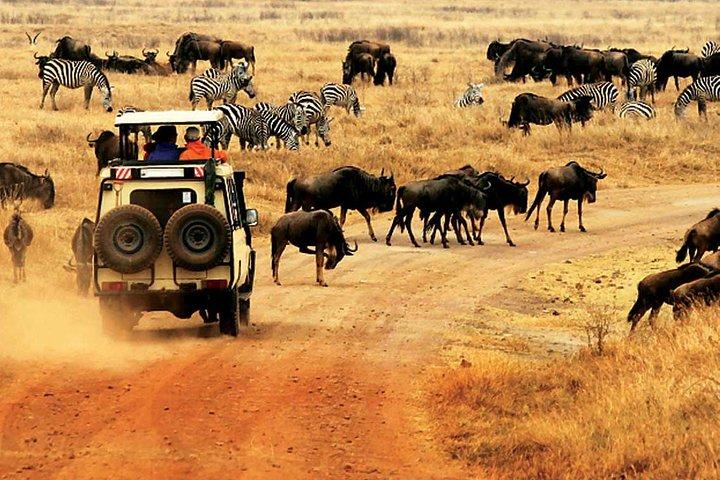 3 Day Private camping Safari in Serengeti National Park