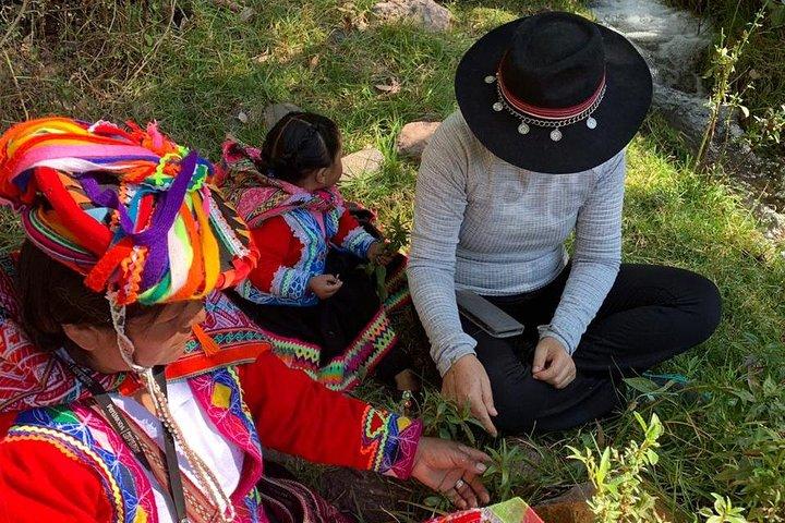 Sacred Valley Textile Workshop – Dyeing & Weaving in Cusco