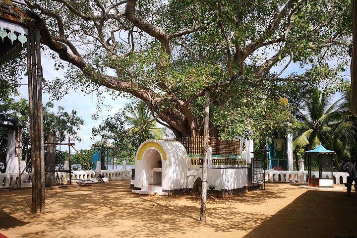 Coastal Ride to Galle from Colombo Seaport