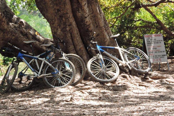 Hot Springs Bike tour