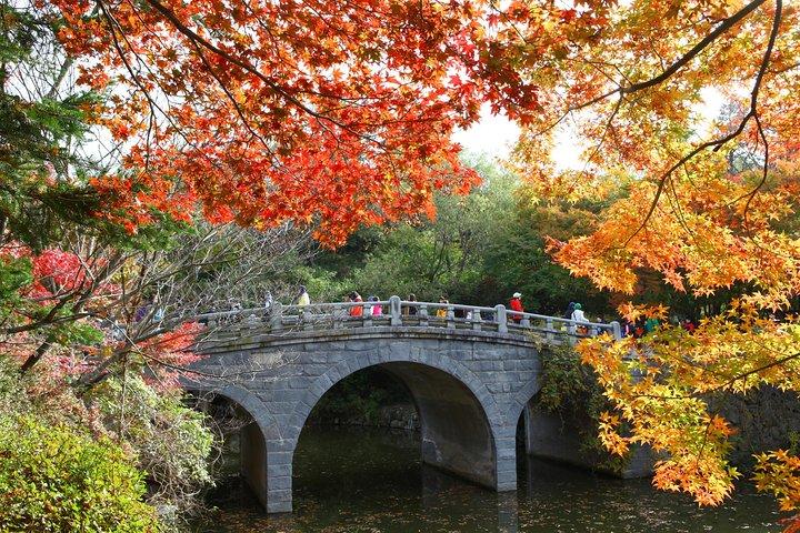 Seoul to Gyeongju, 1 Day Trip