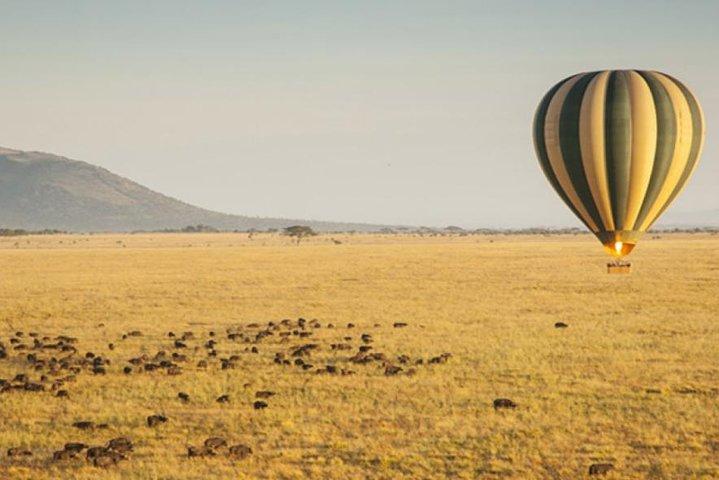 5 days Private budget camping Safari