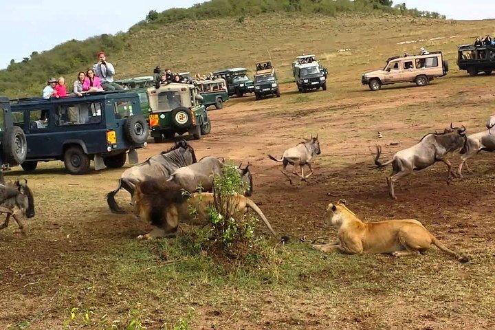 2 Day Private Safari in Tarangire and Maasai Village