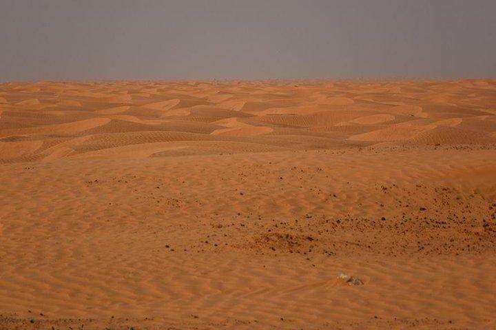 From Djerba: Ksar Ghilane & Matmata 4*4 guided tour with lunch