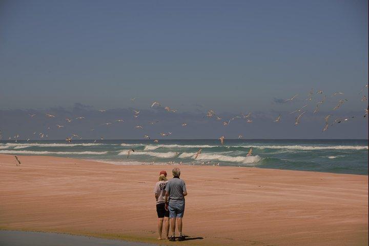 Half-Day Pemberton National Parks Beach and Forest Eco Adventure