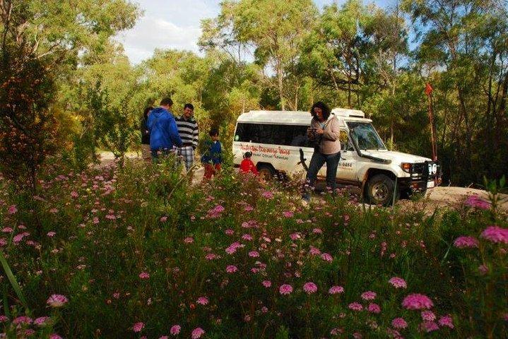 Half-Day Pemberton National Parks Beach and Forest Eco Adventure