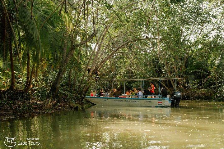 Mangrove Boat Tour Damas Island, Manuel Antonio