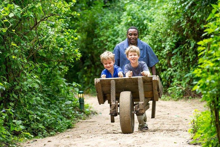 2 Day Private Safari in Tarangire and Maasai Village