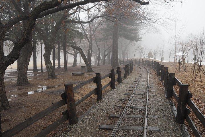 Day Tour to Gangchon Rail Bike Nami Island and Petite France