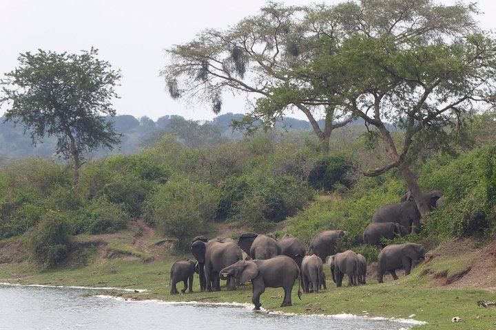 3 days Queen Elizabeth National Park Uganda Safari