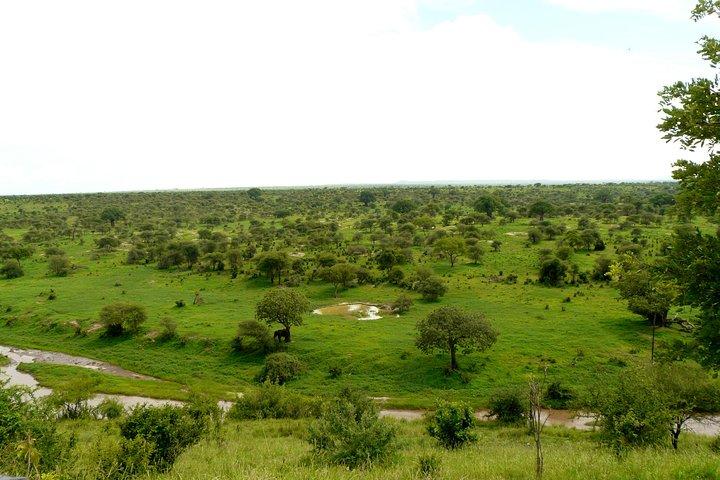 1 Day Joined Group Safari to Tarangire National Park