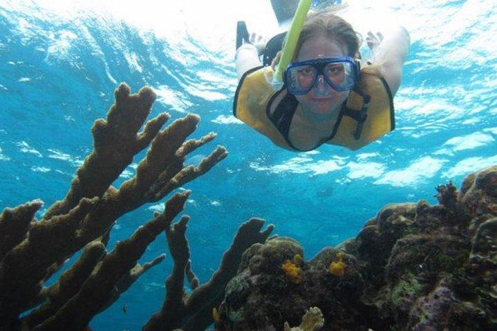 Cozumel 3 reefs Boat tour with drinks and Snorkeling