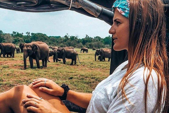 Kandy - Minneriya National park & Sigiriya Rock by tuk tuk tours