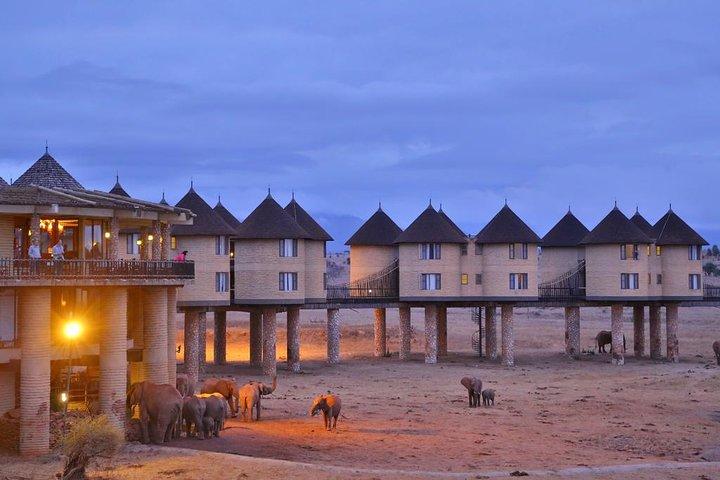 3 Days 2 Nights To Sarova Saltlick And Taita Hills