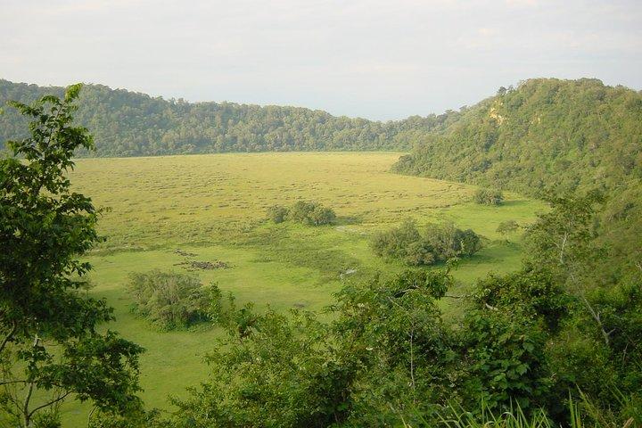 1 Day Joined Group Safari in Arusha National Park