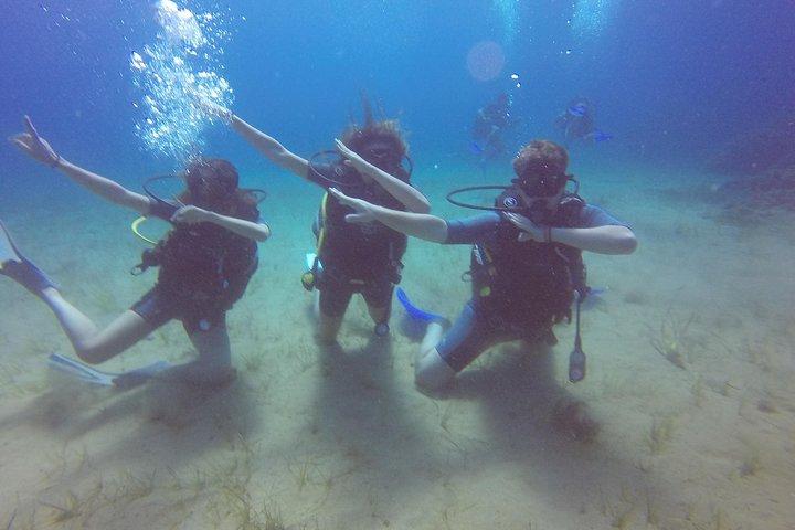 Try a DIVE, discover scuba diving in Mykonos
