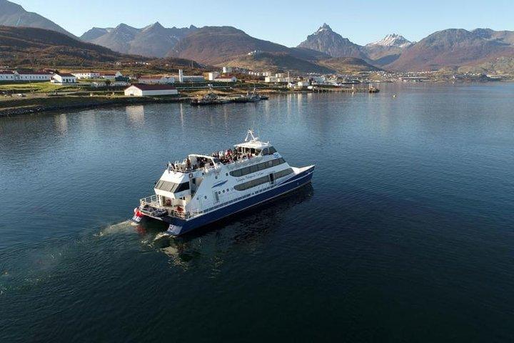 USHUAIA: Beagle Channel Navigation - Isla de los Lobos and Descent at Bridges Islands