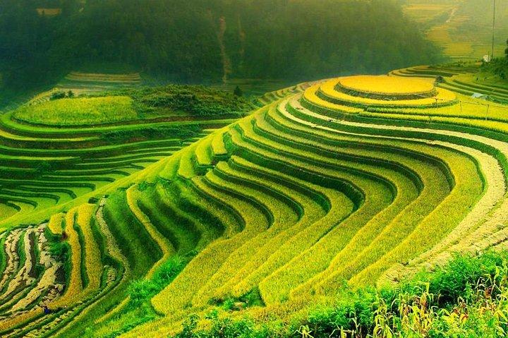 Sa Pa 2-Day Moderate Trek and Homestay Limousine Tour from Hanoi