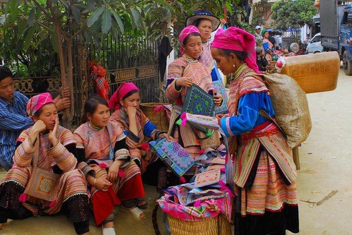 Sa Pa 2-Day Moderate Trek and Homestay Limousine Tour from Hanoi