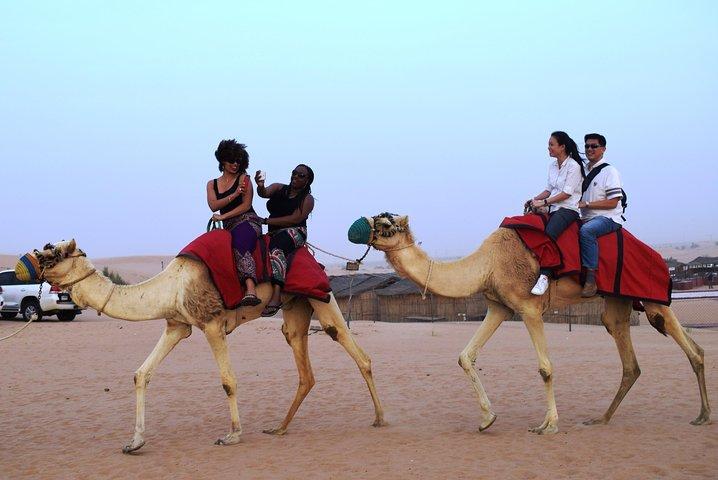 Premium Dubai Desert Safari with BBQ Dinner in the Red Dunes