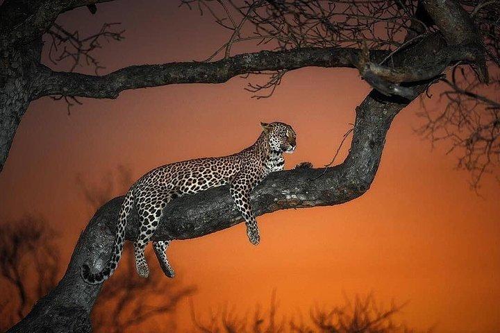 4 Days Northern Circuit lodge safaris