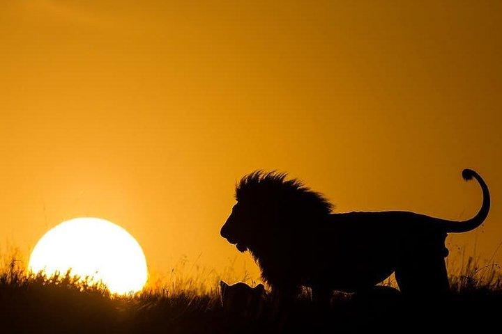 4 Days Northern Circuit lodge safaris