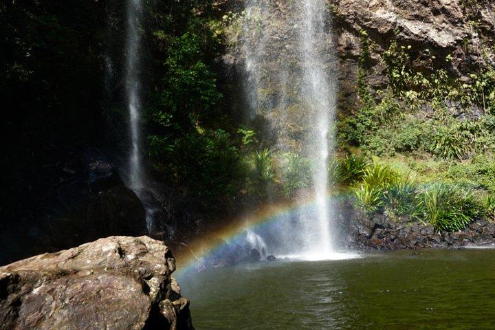 Glow Worms + Day/Night Rainforest & Waterfalls Experience