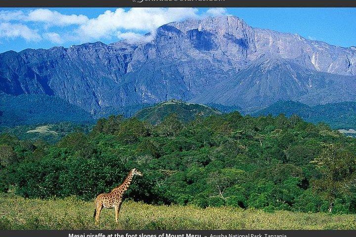 4 Days Private Safari Ngorongoro Crater,Tarangire, Manyara, Arusha National Park
