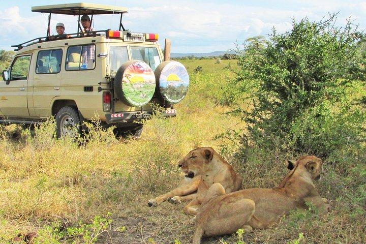 6 Day Private Lodge Safari in Northern Circuit