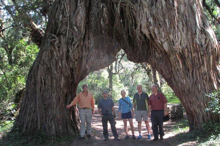 4 Days Private Safari Ngorongoro Crater,Tarangire, Manyara, Arusha National Park