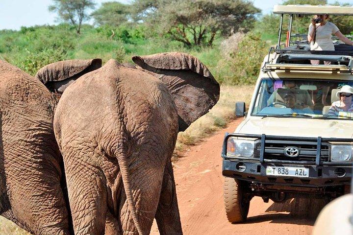 6 Day Private Lodge Safari in Northern Circuit