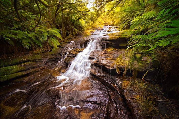Fully Inclusive Blue Mountains Private Tour inc Scenic World & Featherdale Entry